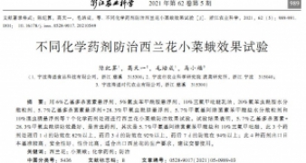 不同化學(xué)藥劑防治西蘭花小菜蛾效果試驗