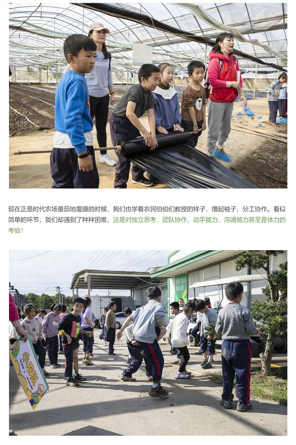 一碗炒飯，一日農(nóng)民，一種感恩。(圖6)